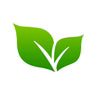 Traditional Herbs